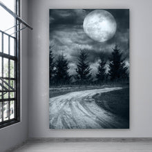 Lade das Bild in den Galerie-Viewer, Aluminiumbild gebürstet Vollmond Nacht Hochformat
