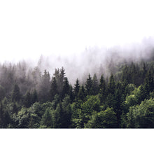 Lade das Bild in den Galerie-Viewer, Aluminiumbild gebürstet Wald am Morgen Querformat
