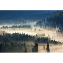 Lade das Bild in den Galerie-Viewer, Acrylglasbild Wald im Nebel Querformat
