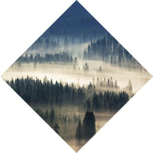Lade das Bild in den Galerie-Viewer, Aluminiumbild gebürstet Wald im Nebel Raute
