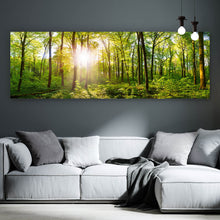 Lade das Bild in den Galerie-Viewer, Aluminiumbild gebürstet Wald No. 1 Panorama
