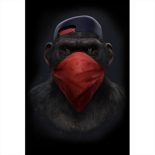 Spannrahmenbild Affe mit rotem Tuch Hochformat