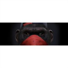 Lade das Bild in den Galerie-Viewer, Acrylglasbild Affe mit rotem Tuch Panorama
