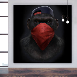 Poster Affe mit rotem Tuch Quadrat