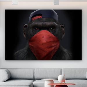 Acrylglasbild Affe mit rotem Tuch Querformat