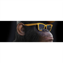 Lade das Bild in den Galerie-Viewer, Spannrahmenbild Affe mit gelber Sonnenbrille Panorama
