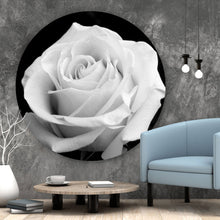 Lade das Bild in den Galerie-Viewer, Aluminiumbild Weiße Rose auf schwarzem Hintergrund Kreis

