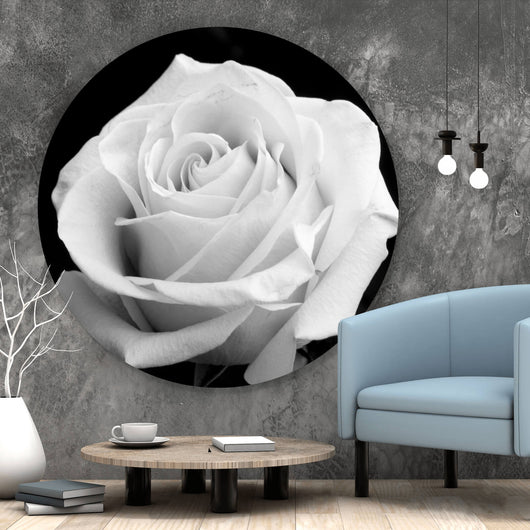 Aluminiumbild Weiße Rose auf schwarzem Hintergrund Kreis