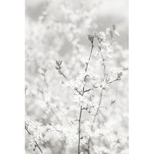 Lade das Bild in den Galerie-Viewer, Spannrahmenbild Weißer Frühling Hochformat
