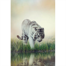 Lade das Bild in den Galerie-Viewer, Poster Weißer Tiger an einem Fluss Hochformat
