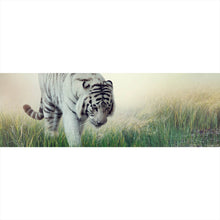 Lade das Bild in den Galerie-Viewer, Aluminiumbild Weißer Tiger an einem Fluss Panorama
