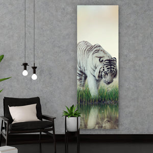 Aluminiumbild Weißer Tiger an einem Fluss Panorama Hoch