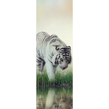 Lade das Bild in den Galerie-Viewer, Poster Weißer Tiger an einem Fluss Panorama Hoch
