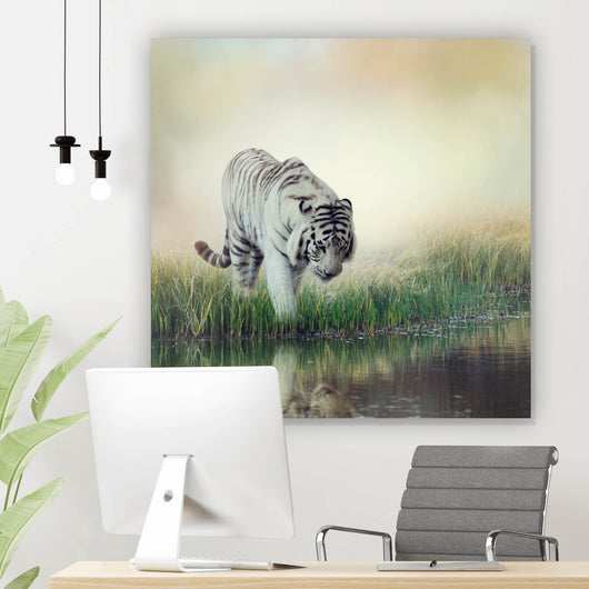 Aluminiumbild Weißer Tiger an einem Fluss Quadrat