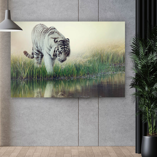 Aluminiumbild gebürstet Weißer Tiger an einem Fluss Querformat