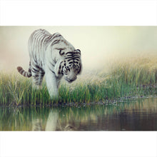 Lade das Bild in den Galerie-Viewer, Spannrahmenbild Weißer Tiger an einem Fluss Querformat
