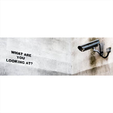Lade das Bild in den Galerie-Viewer, Poster Banksy - What are you looking at Panorama
