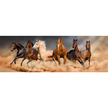 Lade das Bild in den Galerie-Viewer, Leinwandbild Wildpferde im Sandsturm Panorama
