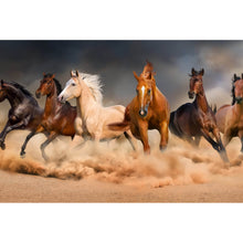 Lade das Bild in den Galerie-Viewer, Aluminiumbild Wildpferde im Sandsturm Querformat
