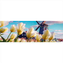 Lade das Bild in den Galerie-Viewer, Aluminiumbild gebürstet Windmühle in Holland Panorama

