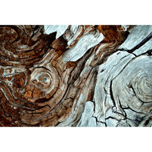 Lade das Bild in den Galerie-Viewer, Aluminiumbild gebürstet Wirbelnde Baumrinde Querformat
