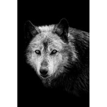 Lade das Bild in den Galerie-Viewer, Leinwandbild Wolf auf schwarzem Hintergrund Hochformat
