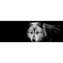 Lade das Bild in den Galerie-Viewer, Spannrahmenbild Wolf auf schwarzem Hintergrund Panorama
