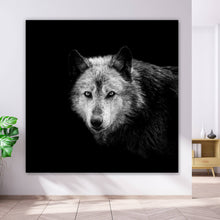 Lade das Bild in den Galerie-Viewer, Leinwandbild Wolf auf schwarzem Hintergrund Quadrat
