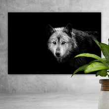 Lade das Bild in den Galerie-Viewer, Aluminiumbild Wolf auf schwarzem Hintergrund Querformat
