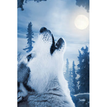 Lade das Bild in den Galerie-Viewer, Aluminiumbild gebürstet Wolf der zum Mond heult Hochformat
