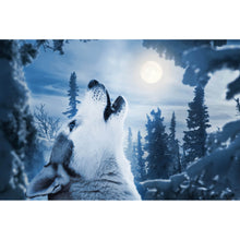 Lade das Bild in den Galerie-Viewer, Spannrahmenbild Wolf der zum Mond heult Querformat
