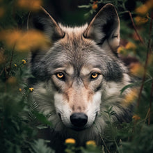 Lade das Bild in den Galerie-Viewer, Aluminiumbild gebürstet Wolf im Wald der Blumen Quadrat
