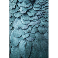 Lade das Bild in den Galerie-Viewer, Aluminiumbild Blaue Federn Papagei Hochformat
