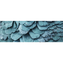 Lade das Bild in den Galerie-Viewer, Aluminiumbild gebürstet Blaue Federn Papagei Panorama
