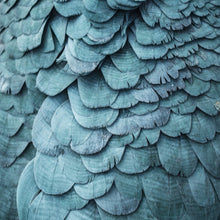 Lade das Bild in den Galerie-Viewer, Aluminiumbild gebürstet Blaue Federn Papagei Quadrat
