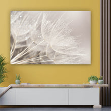 Lade das Bild in den Galerie-Viewer, Aluminiumbild gebürstet Zarte Pusteblume mit Rauhreif in Pastelltönen Querformat
