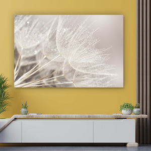 Acrylglasbild Zarte Pusteblume mit Rauhreif in Pastelltönen Querformat