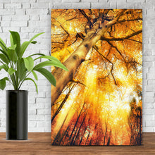 Lade das Bild in den Galerie-Viewer, Acrylglasbild Zauberhafte Waldlandschaft im Herbst Hochformat
