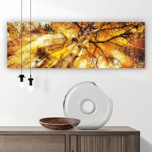 Poster Zauberhafte Waldlandschaft im Herbst Panorama
