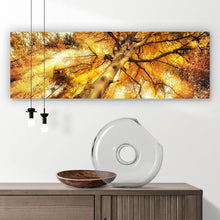 Lade das Bild in den Galerie-Viewer, Aluminiumbild Zauberhafte Waldlandschaft im Herbst Panorama
