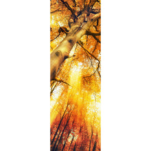 Lade das Bild in den Galerie-Viewer, Poster Zauberhafte Waldlandschaft im Herbst Panorama Hoch
