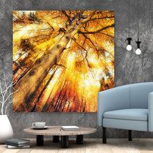 Lade das Bild in den Galerie-Viewer, Aluminiumbild gebürstet Zauberhafte Waldlandschaft im Herbst Quadrat
