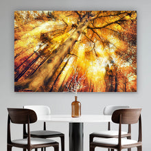 Lade das Bild in den Galerie-Viewer, Spannrahmenbild Zauberhafte Waldlandschaft im Herbst Querformat
