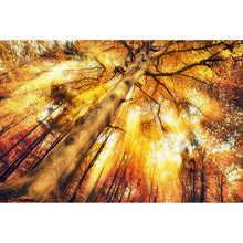 Lade das Bild in den Galerie-Viewer, Aluminiumbild gebürstet Zauberhafte Waldlandschaft im Herbst Querformat
