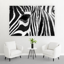 Lade das Bild in den Galerie-Viewer, Aluminiumbild gebürstet Zebra Querformat
