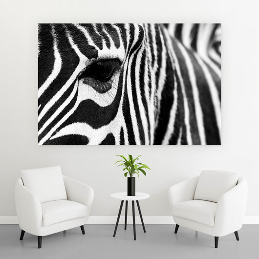 Aluminiumbild gebürstet Zebra Querformat