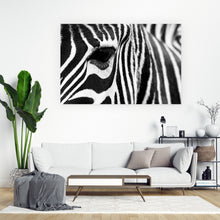 Lade das Bild in den Galerie-Viewer, Spannrahmenbild Zebra Querformat
