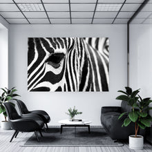 Lade das Bild in den Galerie-Viewer, Aluminiumbild gebürstet Zebra Querformat
