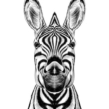 Lade das Bild in den Galerie-Viewer, Aluminiumbild Zebra im Zeichenstil Quadrat

