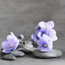 Lade das Bild in den Galerie-Viewer, Acrylglasbild Zen Steine mit Lila Blumen Quadrat
